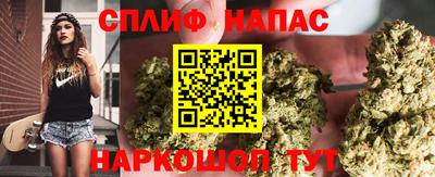 сатива Моздок