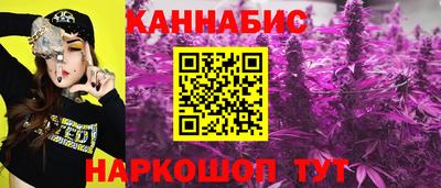 сатива Моздок
