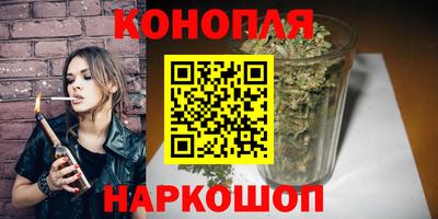 сатива Моздок